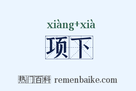 项下是什么意思的图片